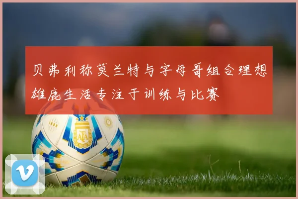 贝弗利称莫兰特与字母哥组合理想雄鹿生活专注于训练与比赛